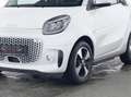 smart forTwo EQ coupe passion EXCLUSIVE||FUN-STROMER|| Weiß - thumbnail 4