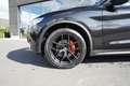 Alfa Romeo Stelvio Stelvio 2.0 Turbo 16V AT8-Q4 Navi Leder Camera 20" Schwarz - thumbnail 7