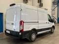 Ford Transit 310 77kW L2H2 Van Trend Delantera Blanco - thumbnail 5