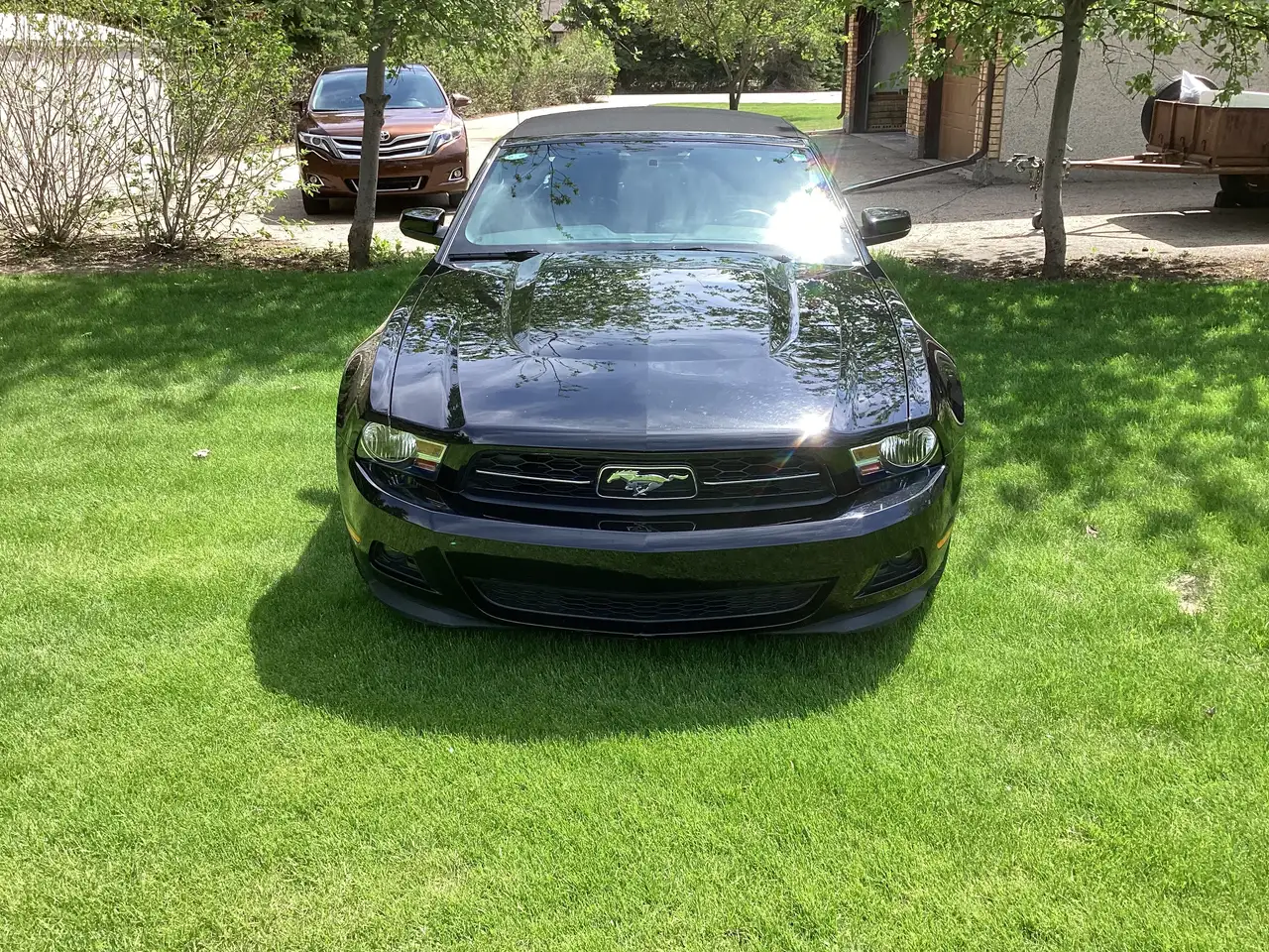 Ford Mustang fotografie Ford Mustang
