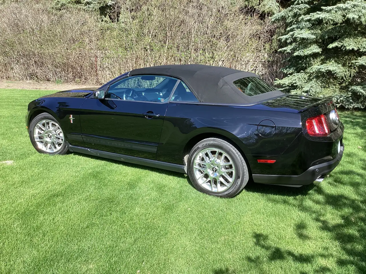 Ford Mustang fotografie Ford Mustang