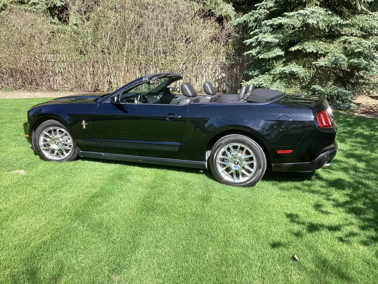 Ford Mustang fotografie Ford Mustang