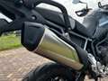 Triumph Tiger 900 All-Road Rally Pro - thumbnail 15