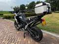 Triumph Tiger 900 All-Road Rally Pro - thumbnail 6