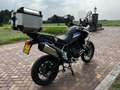 Triumph Tiger 900 All-Road Rally Pro - thumbnail 8