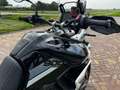 Triumph Tiger 900 All-Road Rally Pro - thumbnail 12