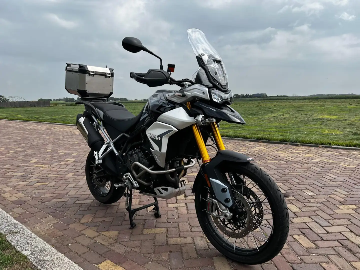 Triumph Tiger 900 All-Road Rally Pro - 2