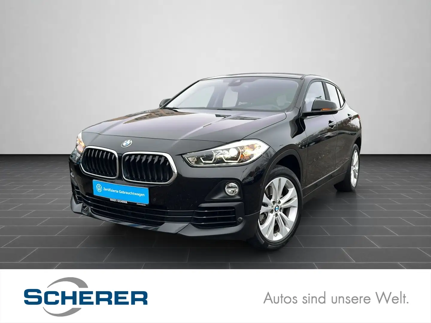 BMW X2 xDrive20i Advantage LED+AHK+Kamera+Navi+Sitzh Schwarz - 1