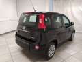 Fiat Panda Panda 1.0 firefly hybrid  Km 0 Nero - thumbnail 3