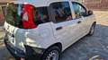 Fiat Panda 1300MJET VAN AUTOCARRO 2 POSTI Bianco - thumbnail 7