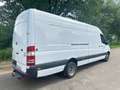 Mercedes-Benz Sprinter *519 CDI*Maxi-Extralang*Xenon-Klima*Top* Blanc - thumbnail 7