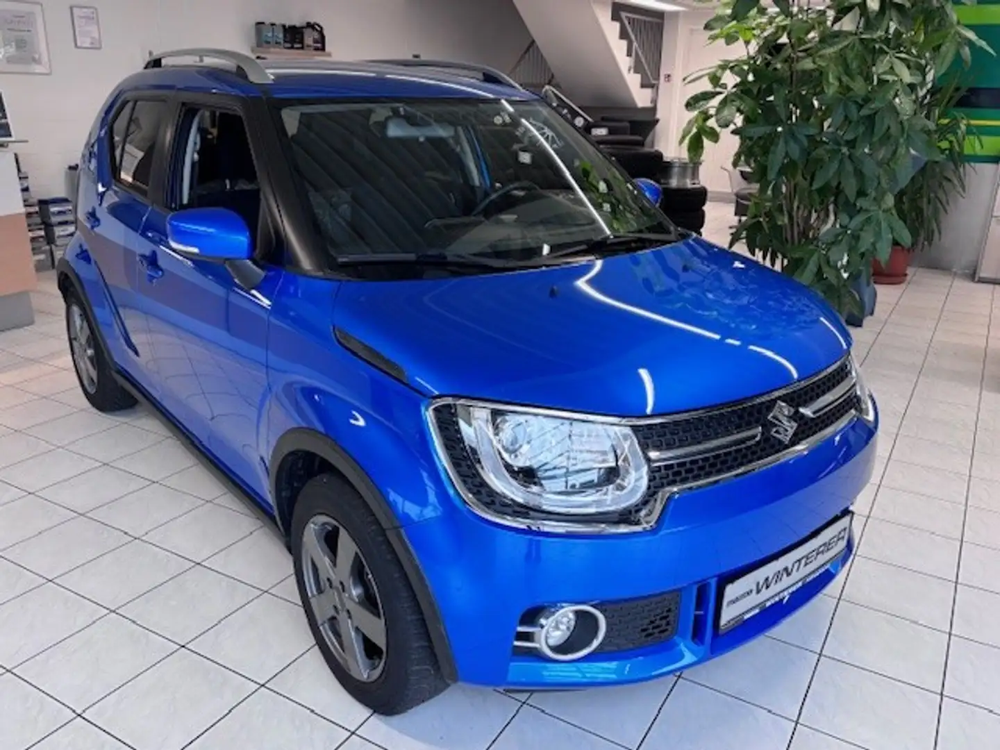 Suzuki Ignis Blau - 1