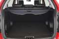 SsangYong Korando D22T Limited Aut. 4x4 Rouge - thumbnail 18