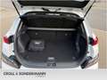 Hyundai KONA Kona Elektro Trend, 11kW, Navi, Kamera, LED - thumbnail 12