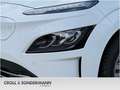 Hyundai KONA Kona Elektro Trend, 11kW, Navi, Kamera, LED - thumbnail 5