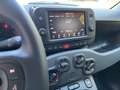 Fiat Panda CROSS 1.0 70CV HYBRID NAVIGATORE SENSORI PARCH. Bianco - thumbnail 9