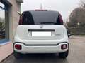 Fiat Panda CROSS 1.0 70CV HYBRID NAVIGATORE SENSORI PARCH. Wit - thumbnail 4