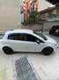 Fiat Punto Evo 5p 1.2 150th s&s Bianco - thumbnail 7