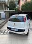Fiat Punto Evo 5p 1.2 150th s&s Bianco - thumbnail 2