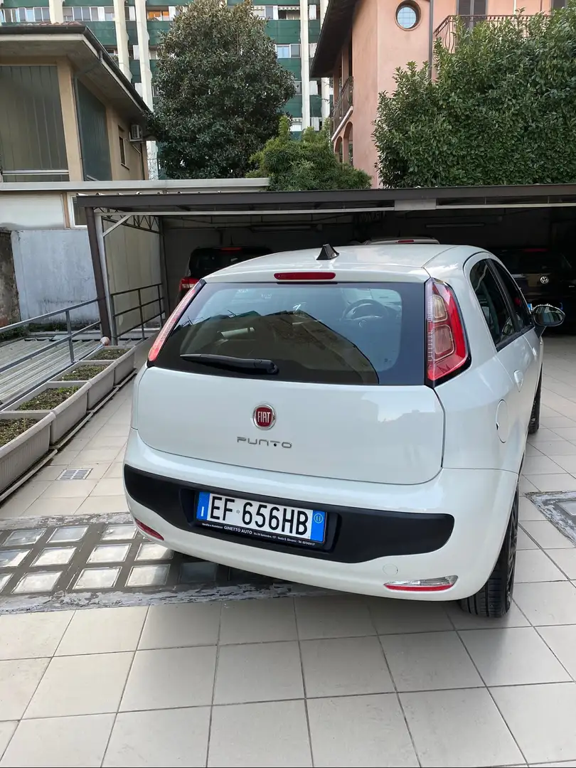 Fiat Punto Evo 5p 1.2 150th s&s Bianco - 2