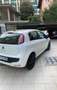 Fiat Punto Evo 5p 1.2 150th s&s Bianco - thumbnail 4