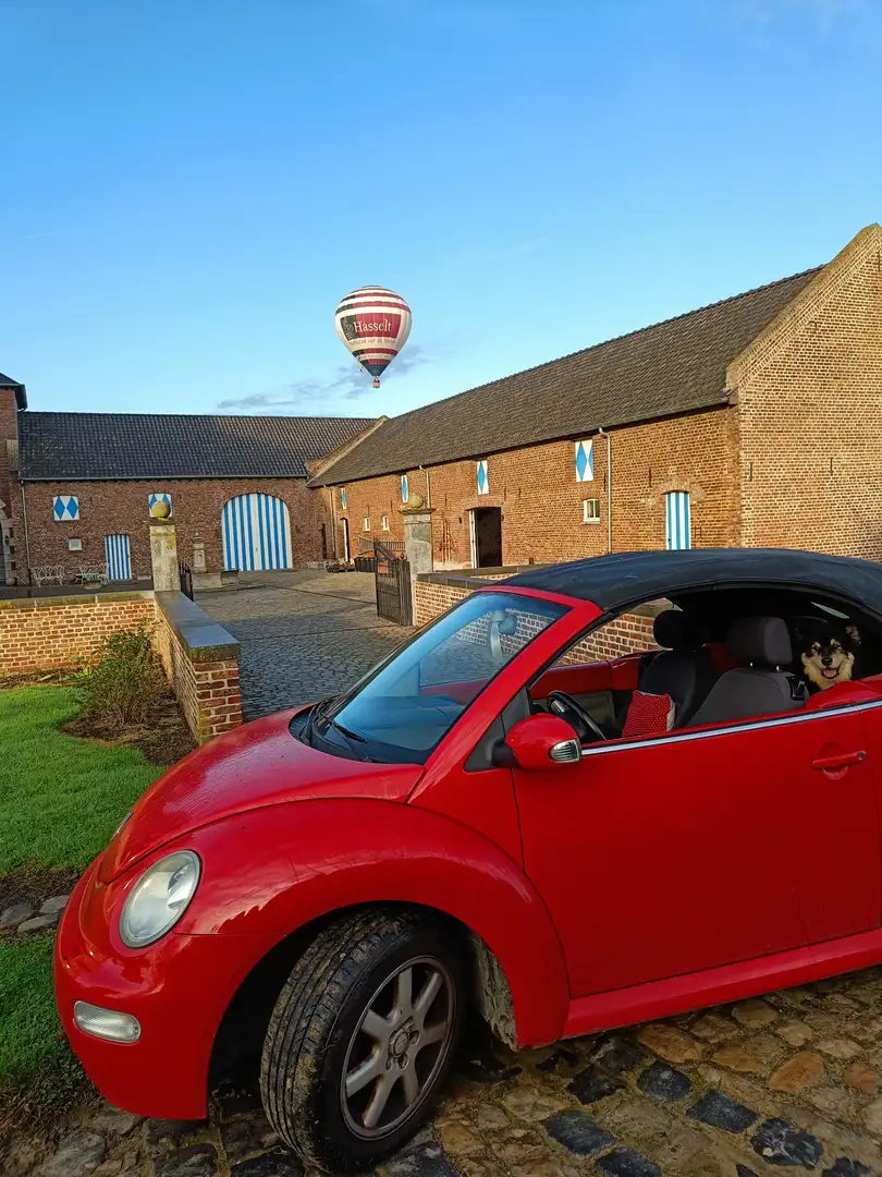 Volkswagen New Beetle Cabriolet 1.6 Rood - 1