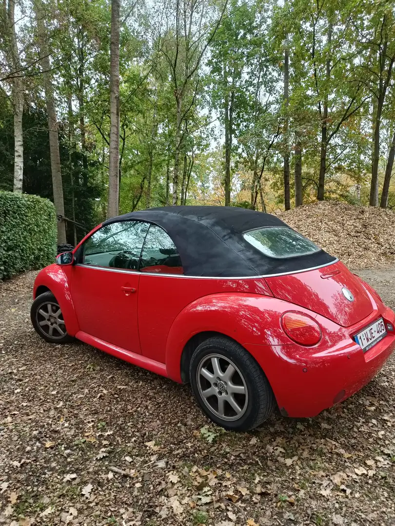 Volkswagen New Beetle Cabriolet 1.6 Rood - 2