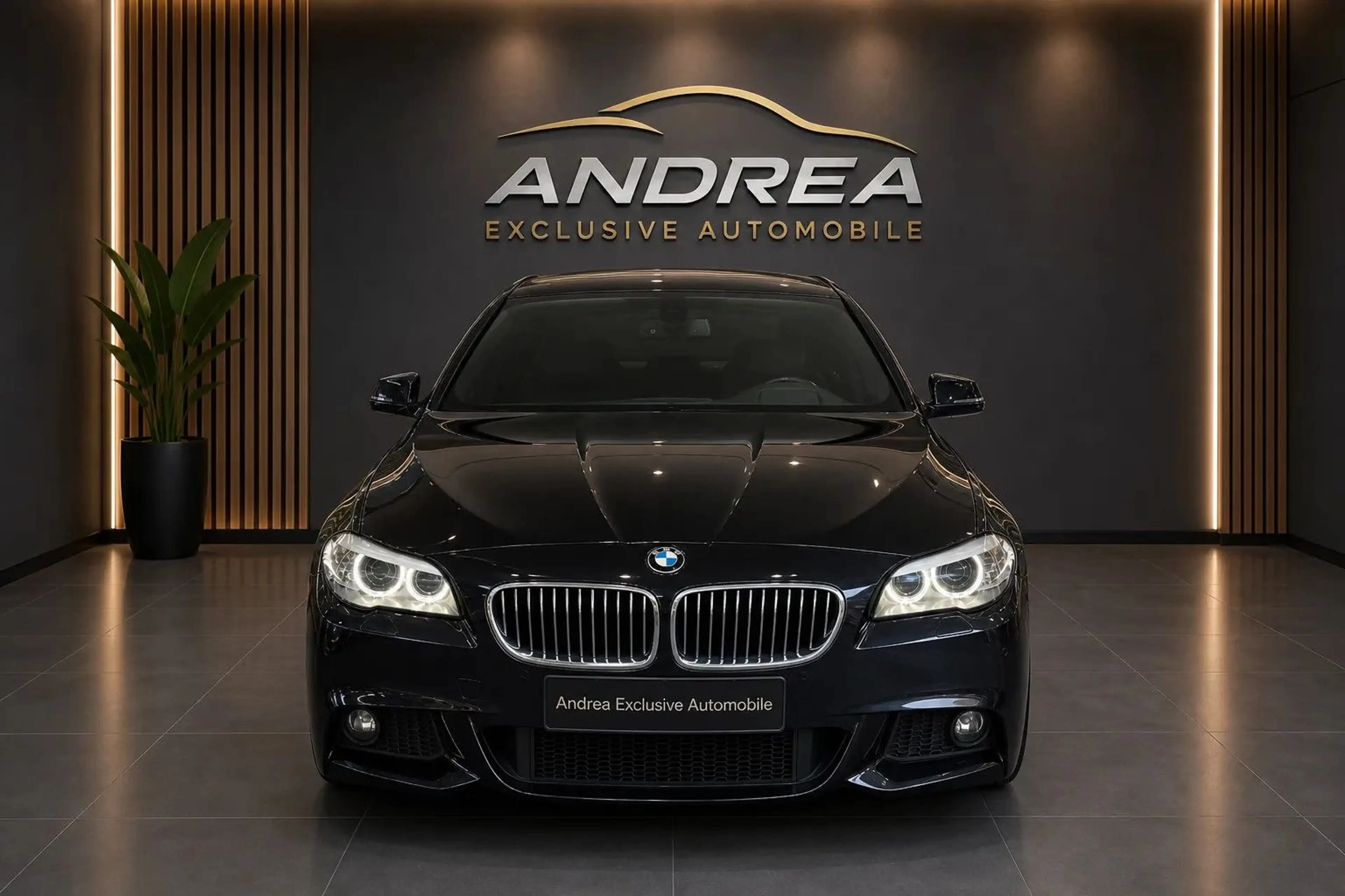 BMW 525 d xDrive Touring M Paket  TOP Carplay 12m Gar — photo 3