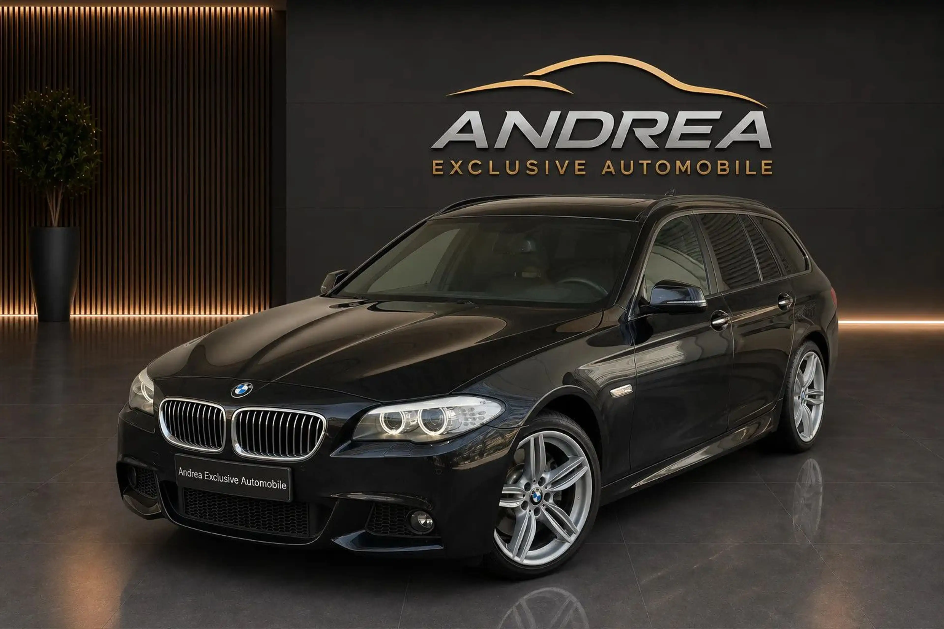 BMW 525 d xDrive Touring M Paket  TOP Carplay 12m Gar — photo 2