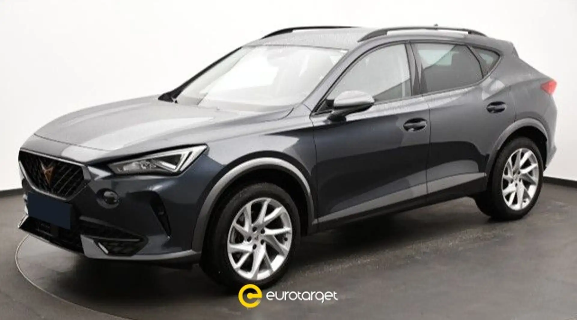 CUPRA Formentor 2.0 TSI 4Drive DSG Grigio - 1