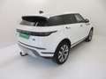 Land Rover Range Rover Evoque II - Evoque 2.0d i4 mhev awd 150cv auto Weiß - thumbnail 6