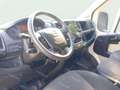 Citroen Jumper BlueHDi 81KW (110CV) Furgón 35L3H2 Blanco - thumbnail 8