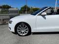Audi A5 A5 Cabriolet Cabrio 2.0 TDI Ambition 170cv Blanc - thumbnail 6