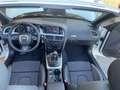 Audi A5 A5 Cabriolet Cabrio 2.0 TDI Ambition 170cv Blanc - thumbnail 12