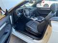 Audi A5 A5 Cabriolet Cabrio 2.0 TDI Ambition 170cv Blanc - thumbnail 11