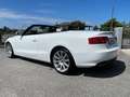 Audi A5 A5 Cabriolet Cabrio 2.0 TDI Ambition 170cv Blanc - thumbnail 3