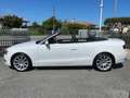 Audi A5 A5 Cabriolet Cabrio 2.0 TDI Ambition 170cv Blanc - thumbnail 2