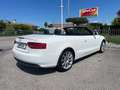 Audi A5 A5 Cabriolet Cabrio 2.0 TDI Ambition 170cv Blanc - thumbnail 4