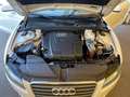 Audi A5 A5 Cabriolet Cabrio 2.0 TDI Ambition 170cv Blanc - thumbnail 15