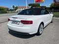 Audi A5 A5 Cabriolet Cabrio 2.0 TDI Ambition 170cv Blanc - thumbnail 9