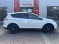 Toyota RAV 4 2.5 Hybrid Black Edition Wit - thumbnail 2