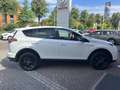 Toyota RAV 4 2.5 Hybrid Black Edition Wit - thumbnail 9