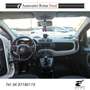 Fiat Panda 1.2 City Cross s Bianco - thumbnail 7