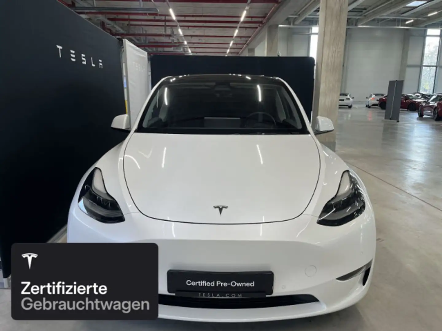 Tesla Model Y Long Range AWD Weiß - 2