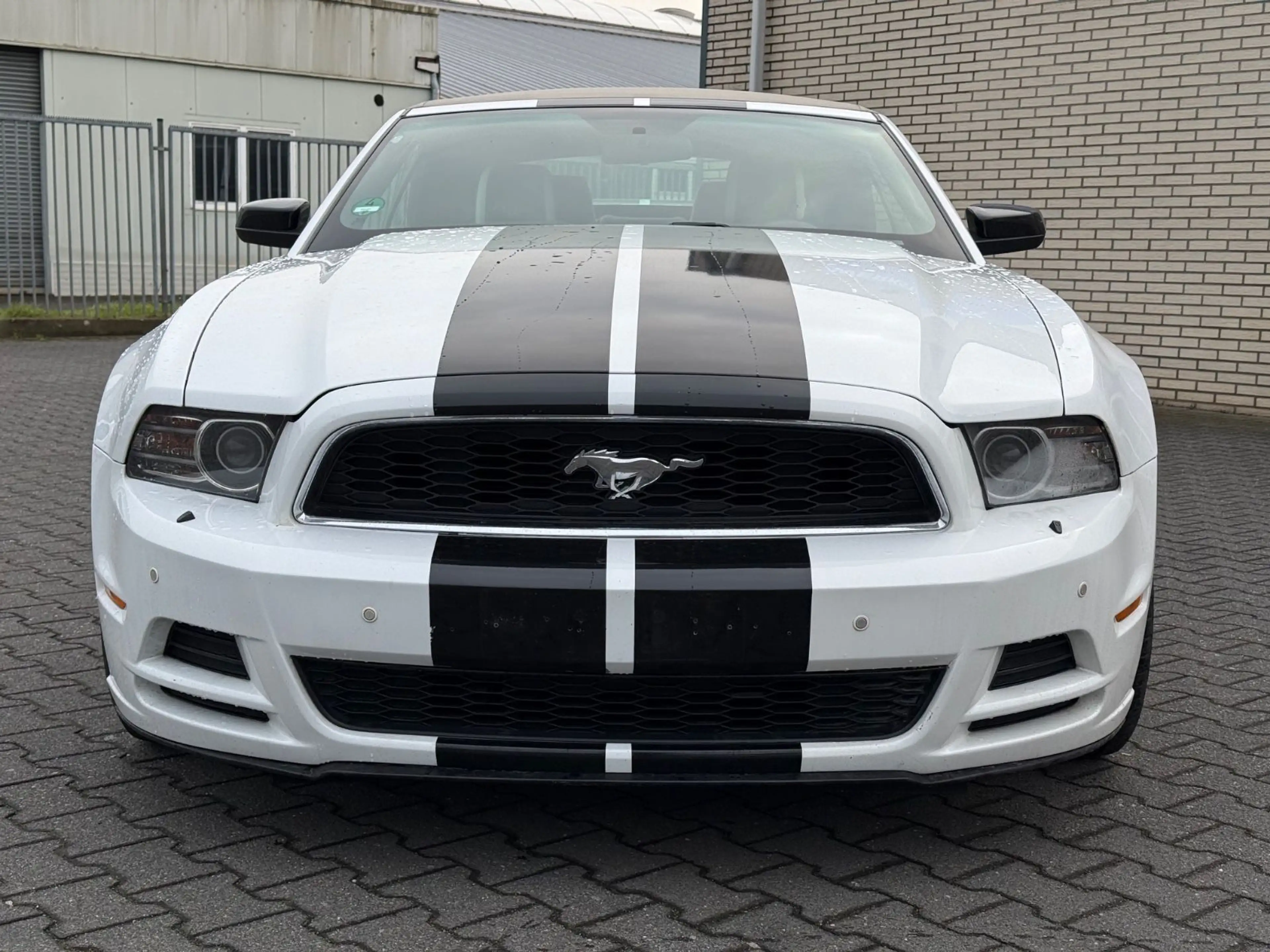 Ford Mustang Cabrio 3.7 V6 *Leder*Xenon*DAB+ — photo 2