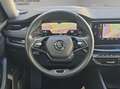 Skoda Octavia TDI DSG STNDHZ SITZBLF MATRIX LEDER  CANTON Schwarz - thumbnail 15
