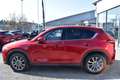 Mazda CX-5 ``Sports-Line Plus`` Rot - thumbnail 4