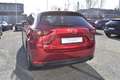 Mazda CX-5 ``Sports-Line Plus`` Rot - thumbnail 5