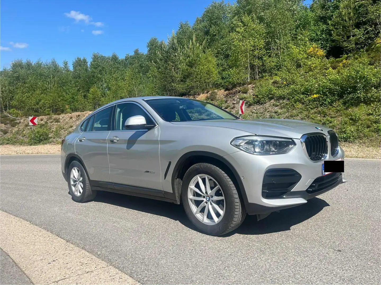 BMW X4 X4 2.0 dA xDrive20 AdBlue (EU6c) Argent - 2