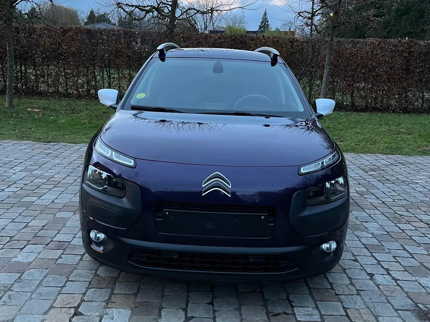Citroen C4 Cactus C4 Cactus 1.6 BlueHDi Shine Edition Midnight Bleu - 2